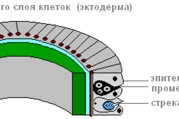 Кракен маркет что это