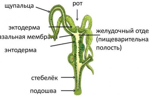 Кракен актуальное зеркало