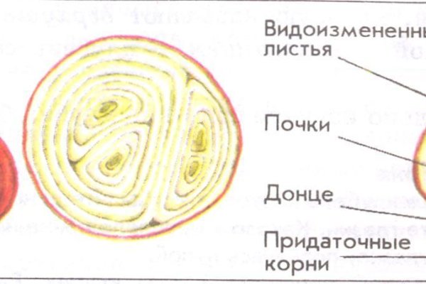 Актуальное зеркало на кракен