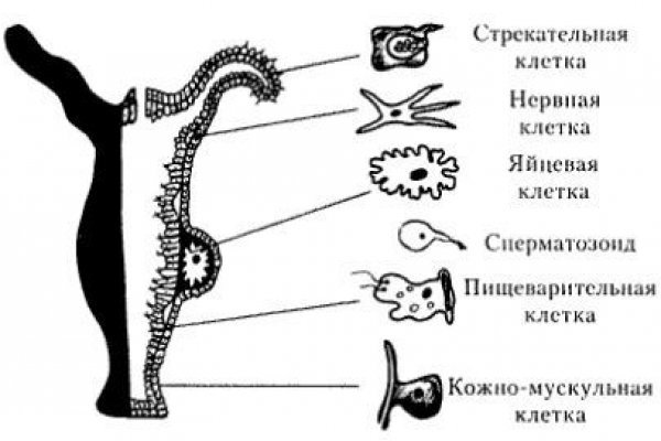 Кракен наркотики россия